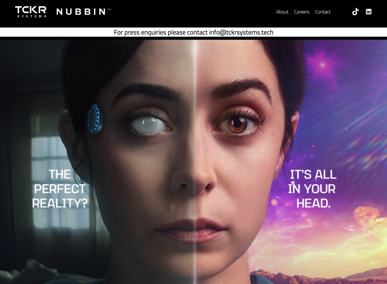 TCKR Systems website for Netflix